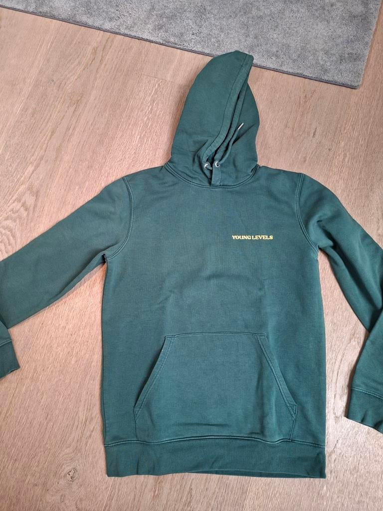 Groene hoodie Young Levels, maat M, Ophalen, Maat 48/50 (M)