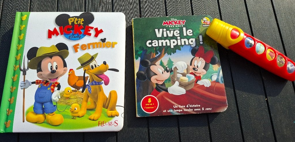 Divers lots de livre 1er âge, Livres, Livres pour enfants | 0 an et plus, Enlèvement, Utilisé, 2 à 3 ans