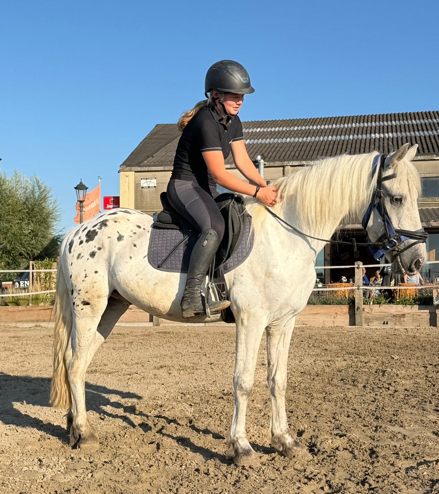 Appaloosa fries, Dieren en Toebehoren, Ruin, Zadelmak