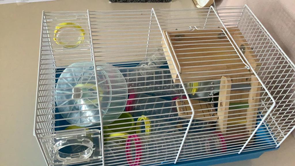 Hamsterkooi, Minder dan 60 cm, Kooi, Minder dan 75 cm, Ophalen of Verzenden