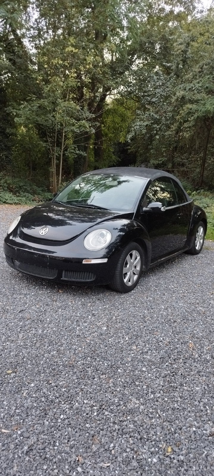 Beetle 1600 Cabriolet, Autos, Cuir, Achat, Entreprise, Cabriolet