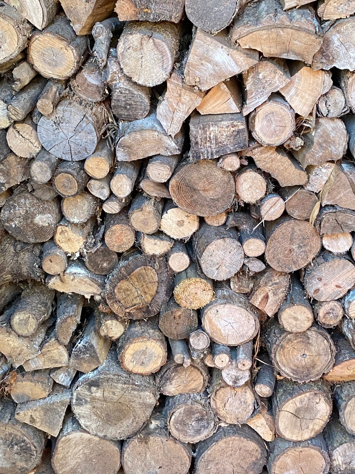 Stookhout gedroogd, Tuin en Terras, 6 m³ of meer, Ophalen, Stammen