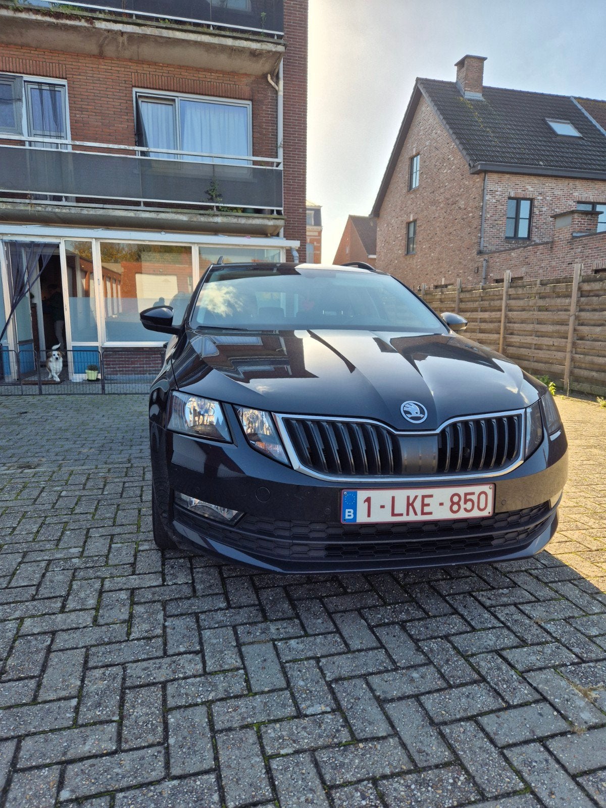 skoda octavia, Auto's, Stof, Euro 6, Zwart, Particulier