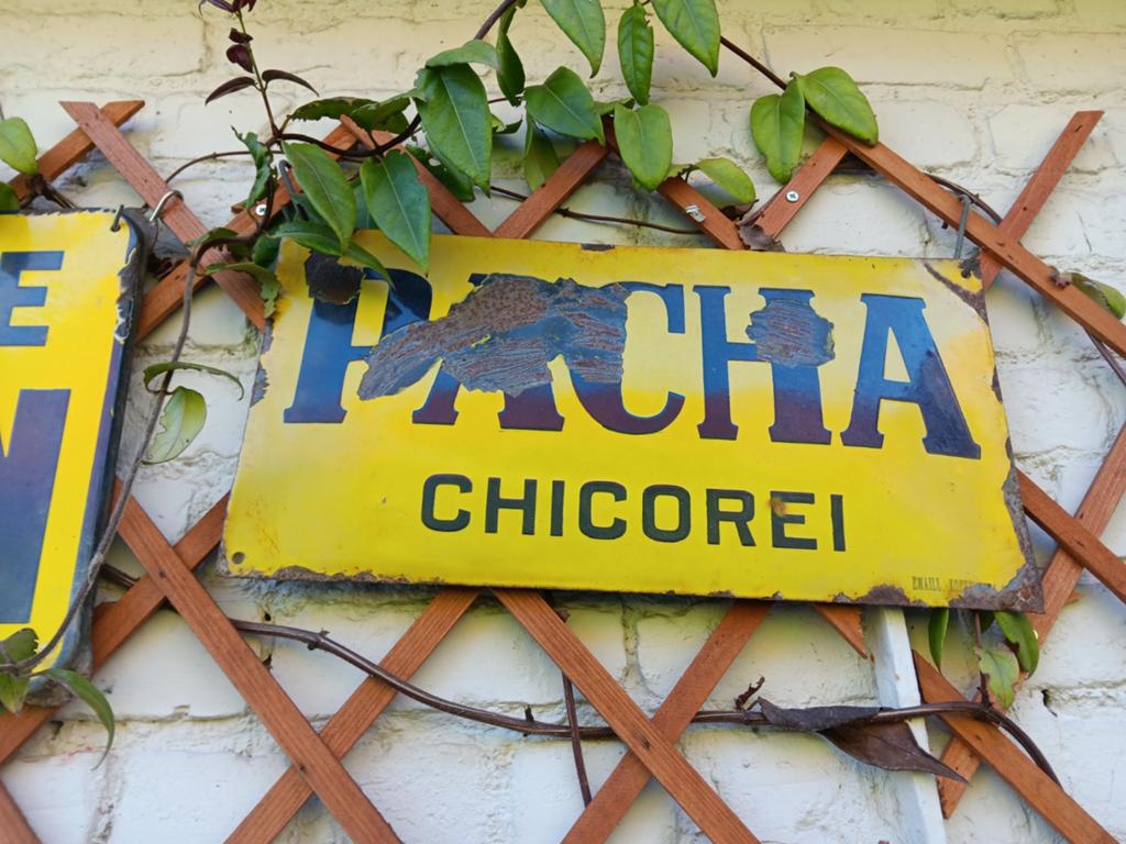 Pacha, Ophalen