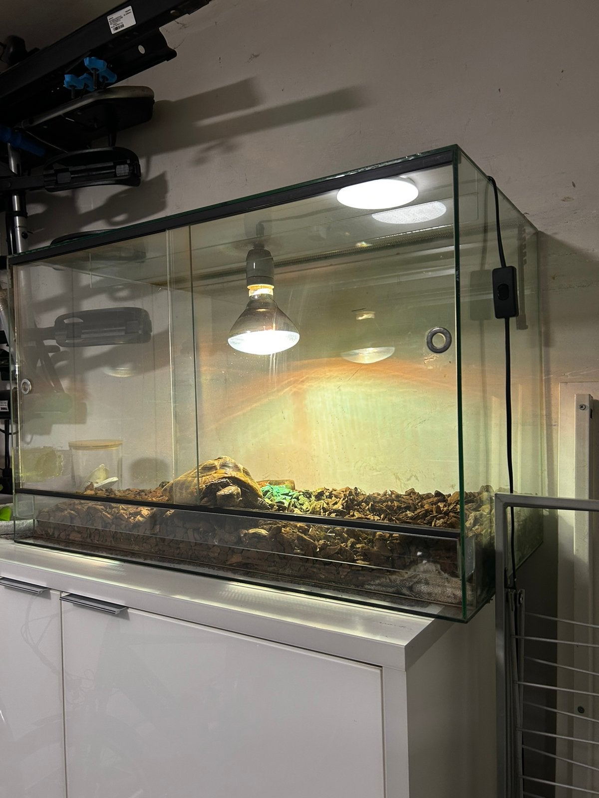 Terrarium volglas 80x40x50cm, Dieren en Toebehoren, Ophalen, Gebruikt, Terrarium of Paludarium