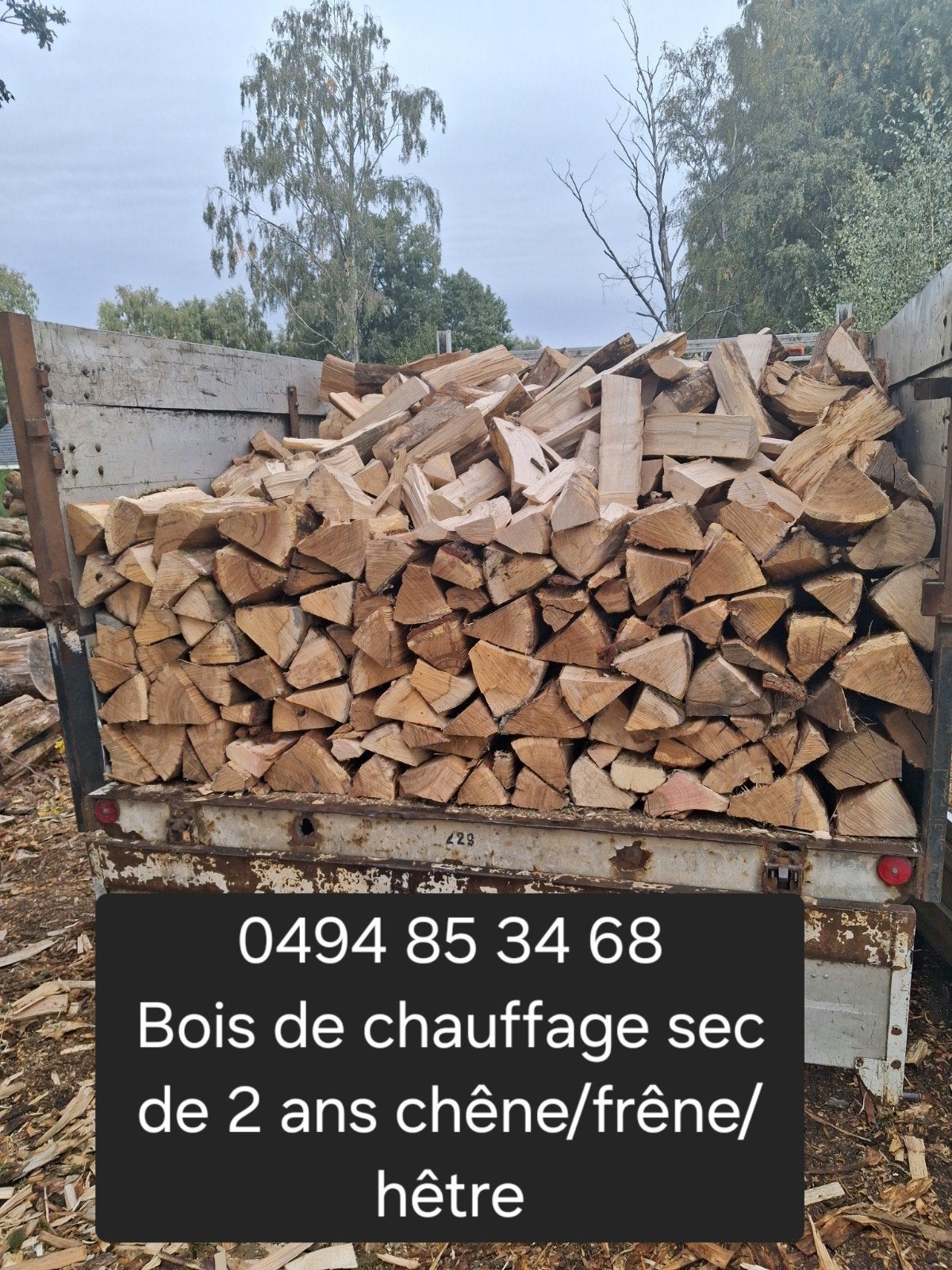 Bois de chauffage sec de 2 ans. Frêne, Hêtre et charme., Envoi, Frêne, Bûches