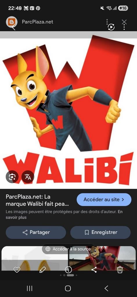 Place adulte Walibi valable le 19 avril 2026, Tickets & Billets