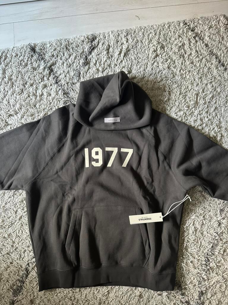 Essentials hoodie, Ophalen of Verzenden, Zo goed als nieuw