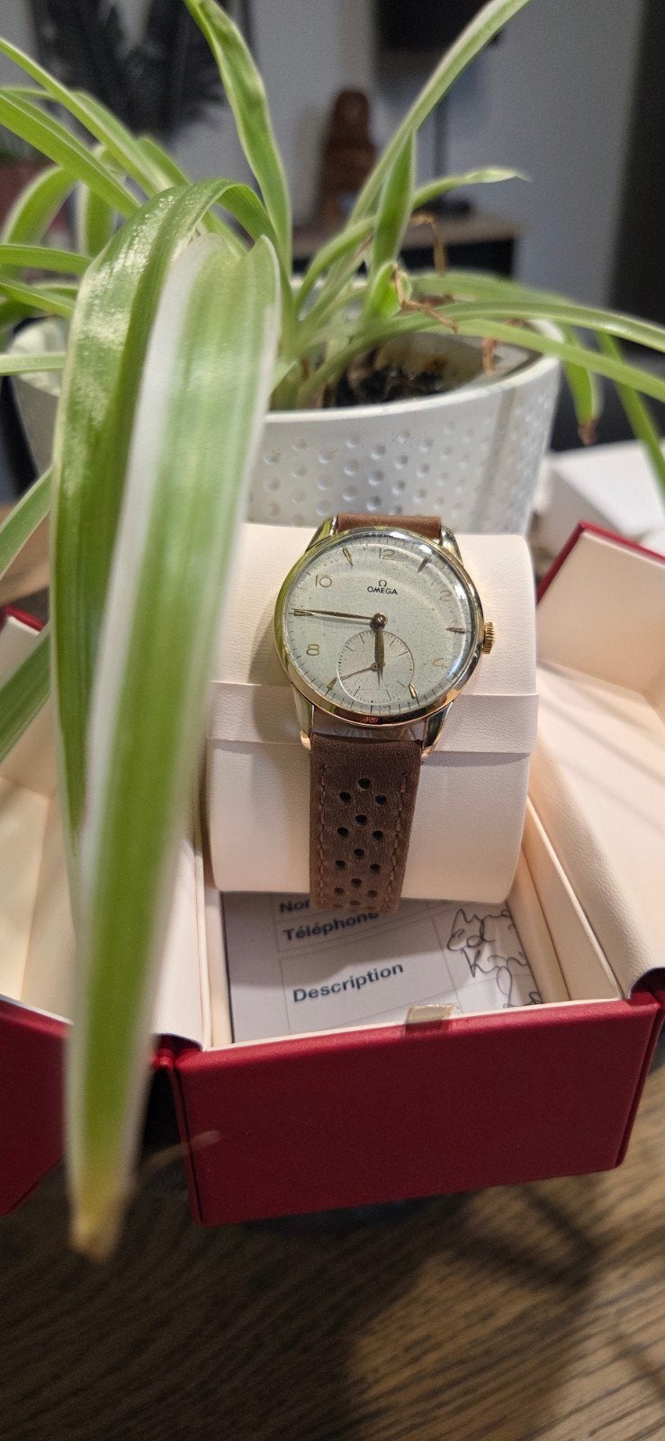 montre homme omega, Ophalen, Overige materialen, Leer