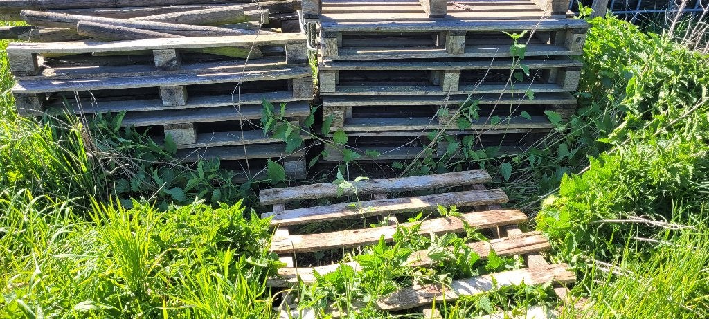 Paletten, Doe-het-zelf en Bouw, Ophalen, Gebruikt