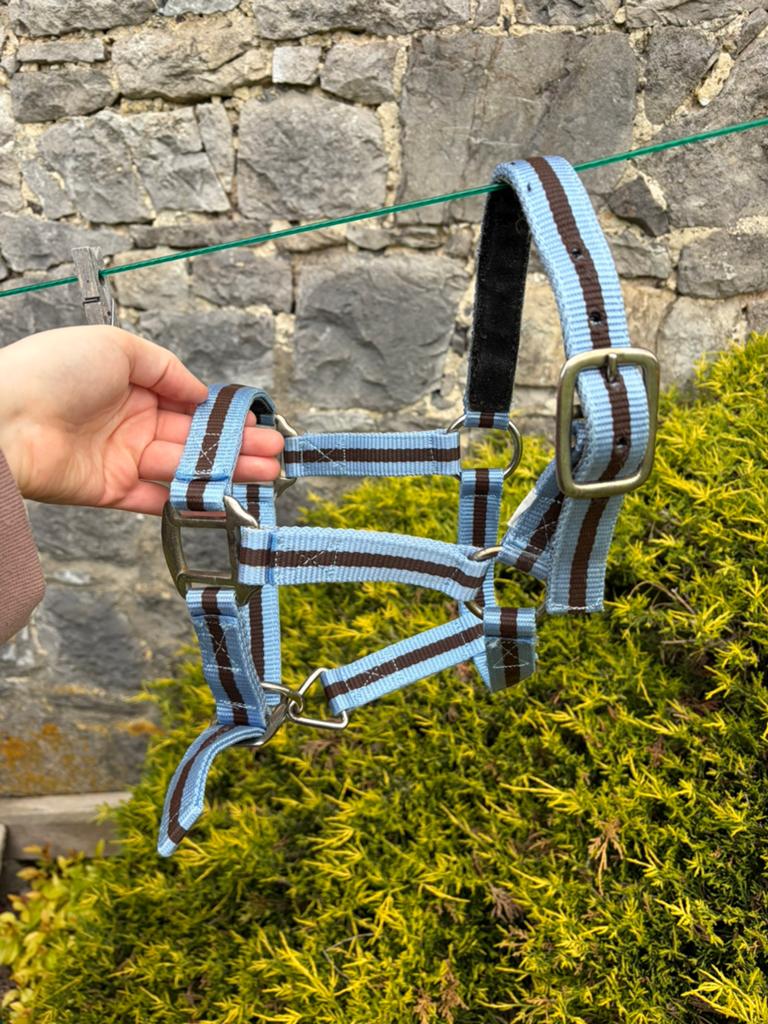 Licol bleu et marron taille shetland, Enlèvement ou Envoi, Utilisé, Autres espèces