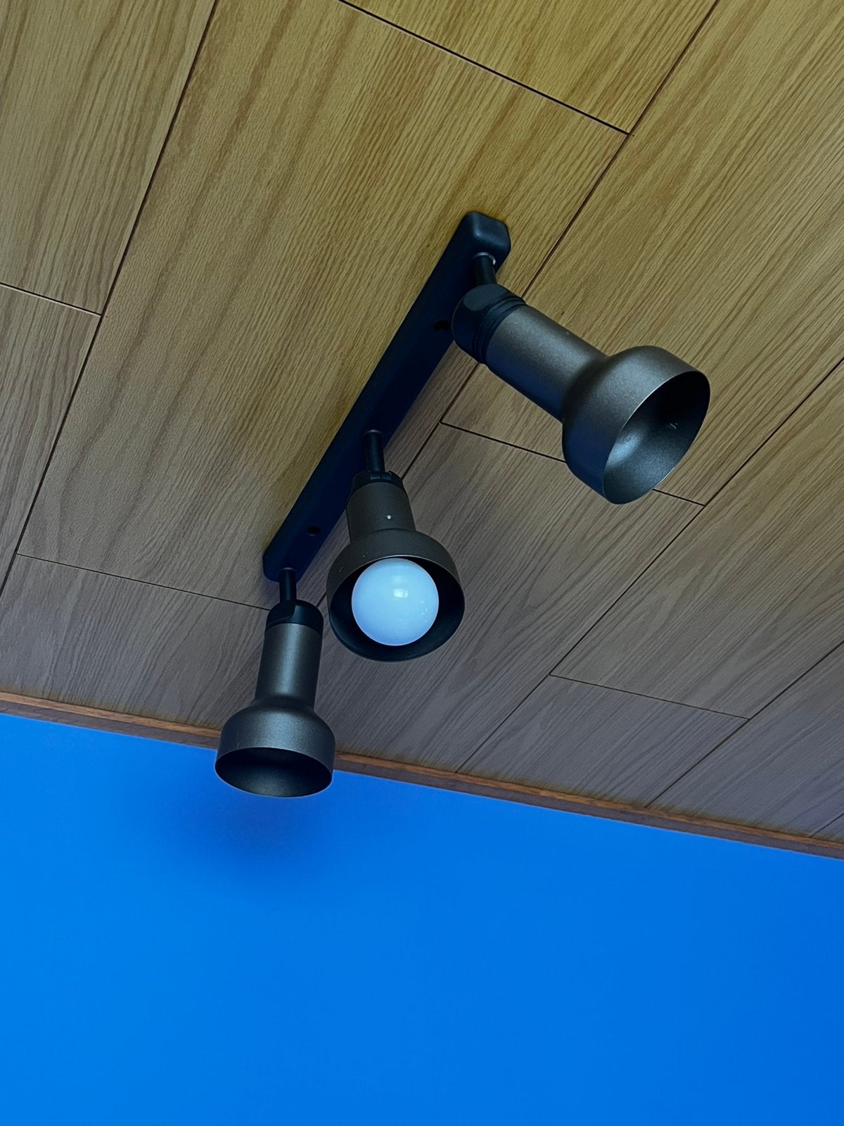 plafondspots met 3 verstelbare spots, Ophalen, Zo goed als nieuw