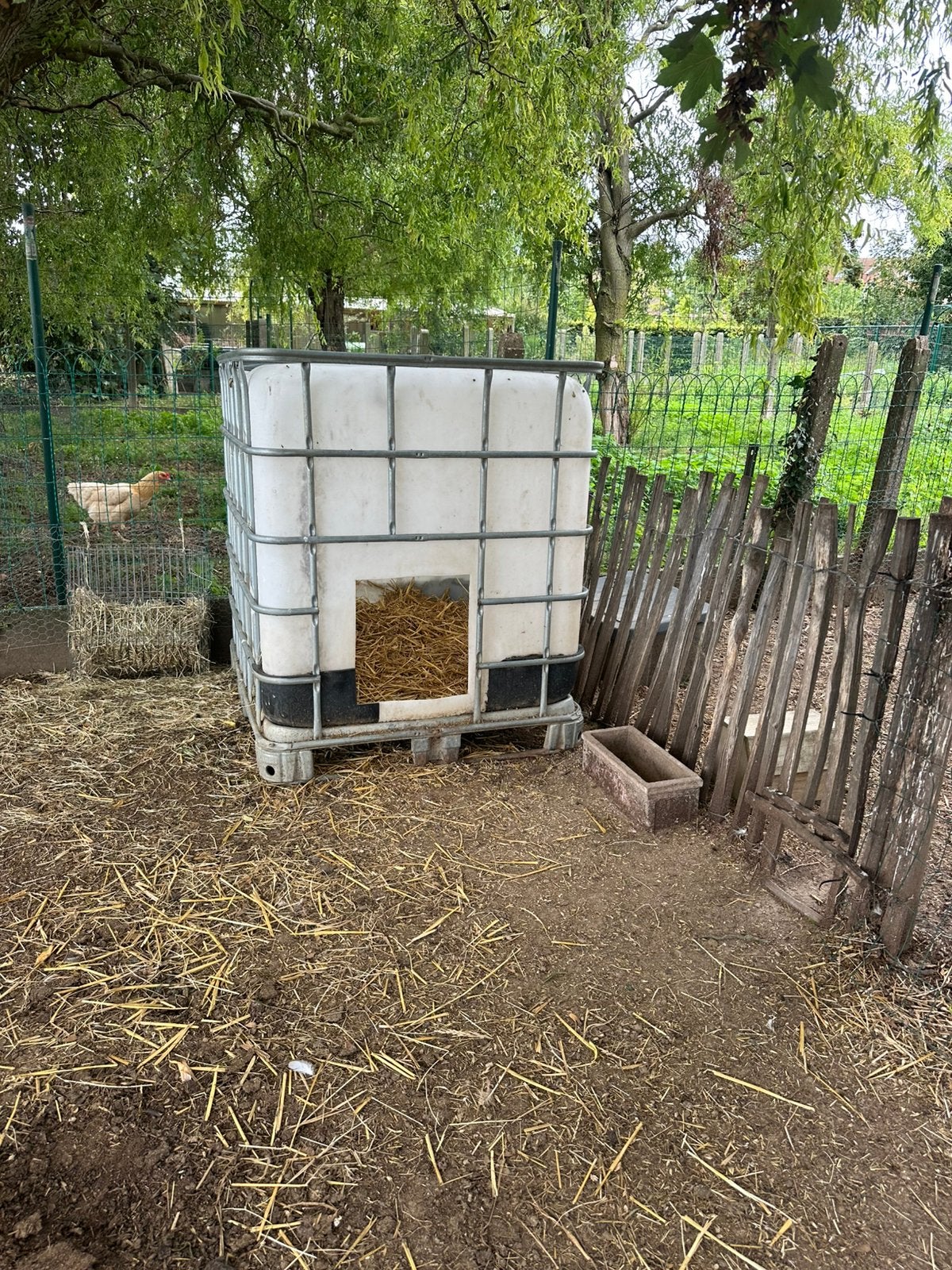 Geitenhok / schuilhok gemaakt van IBC-container – stevig
