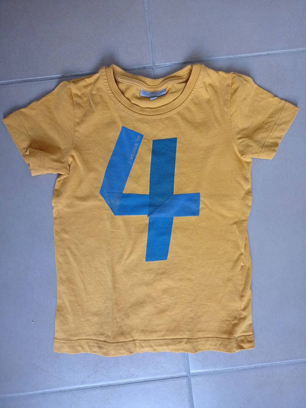 T-shirt maat 104., Kinderen en Baby's, Kinderkleding | Maat 104, Ophalen, Gebruikt, Jongen of Meisje, Shirt of Longsleeve