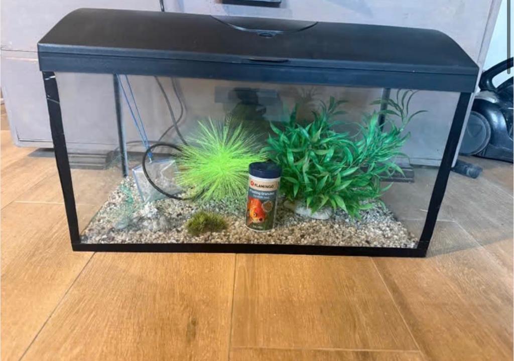 Aquarium, Enlèvement ou Envoi