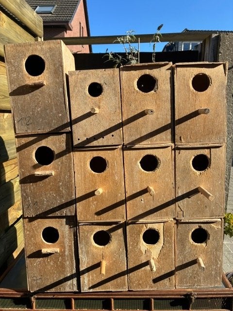 Nestblokken/broedblokken grasparkieten, Parkiet