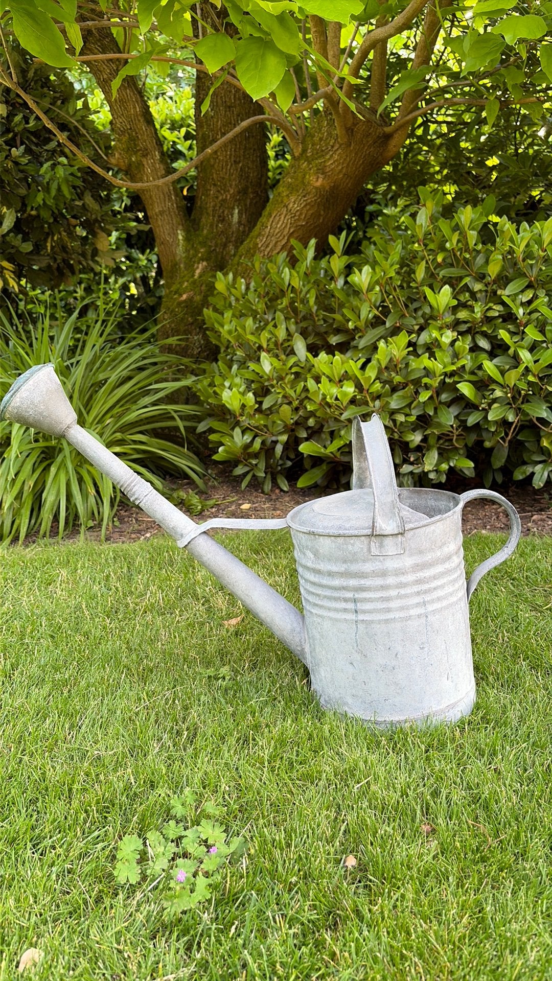 Gegalvaniseerde gieter 10l, Tuin en Terras, Ophalen, Gebruikt