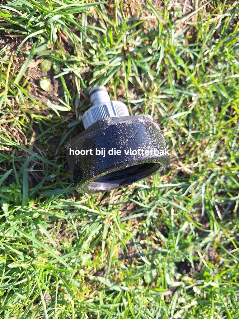 Allerlei, Dieren en Toebehoren