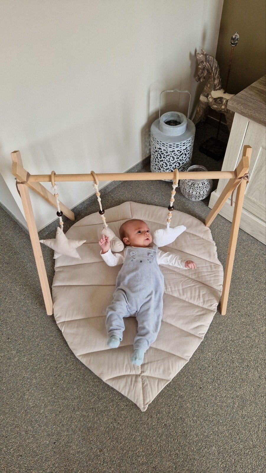 babygym met bladvormig kussen, Enlèvement, Baby Gym