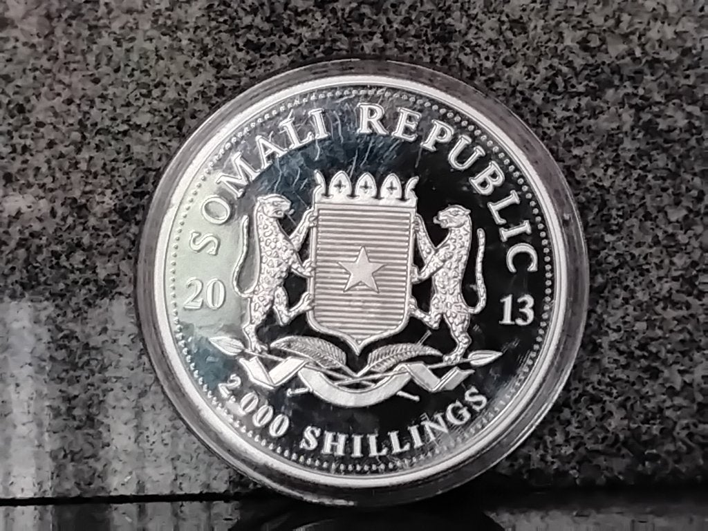 Somalische olifant 1kg zilver 2013, Postzegels en Munten, Ophalen, Zuid-Afrika, Losse munt, Zilver