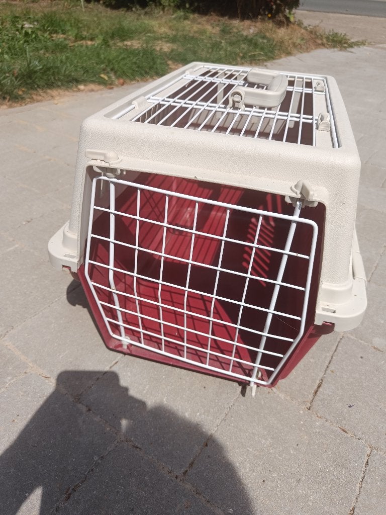 Boîte de transport pour chats, Enlèvement, Utilisé