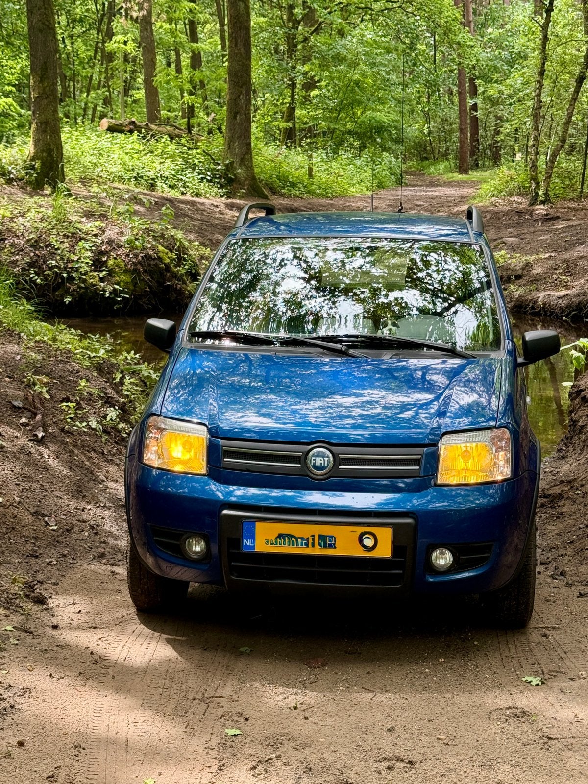 FIAT PANDA 4x4  2005, Auto's, Fiat, 4 zetels, Stof, Blauw, 1055 kg