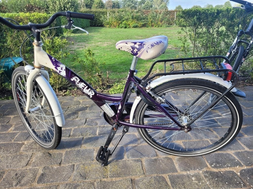 Kinderfiets, Ophalen, 20 inch of meer, Gebruikt, Velgrem