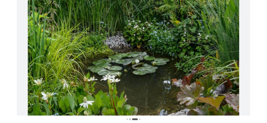 Gezocht gratis vijver planten, Tuin en Terras, Ophalen, Zo goed als nieuw