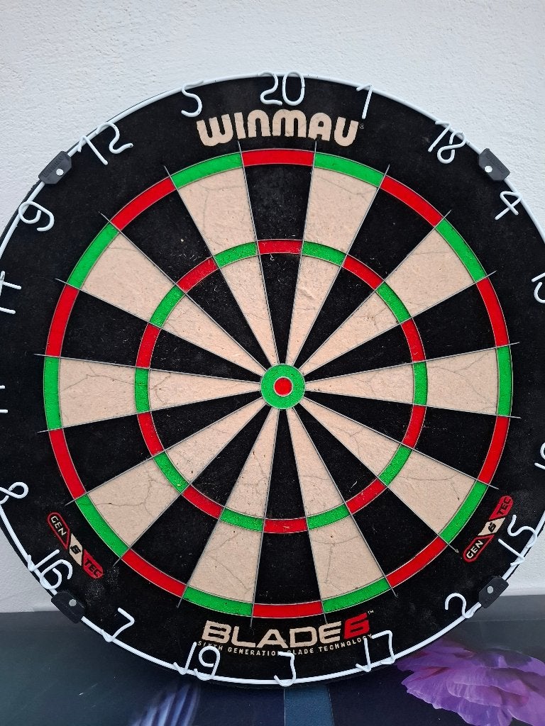 Dartsbord, Sports & Fitness, Enlèvement, Comme neuf, Cible de fléchettes, Pointe souple