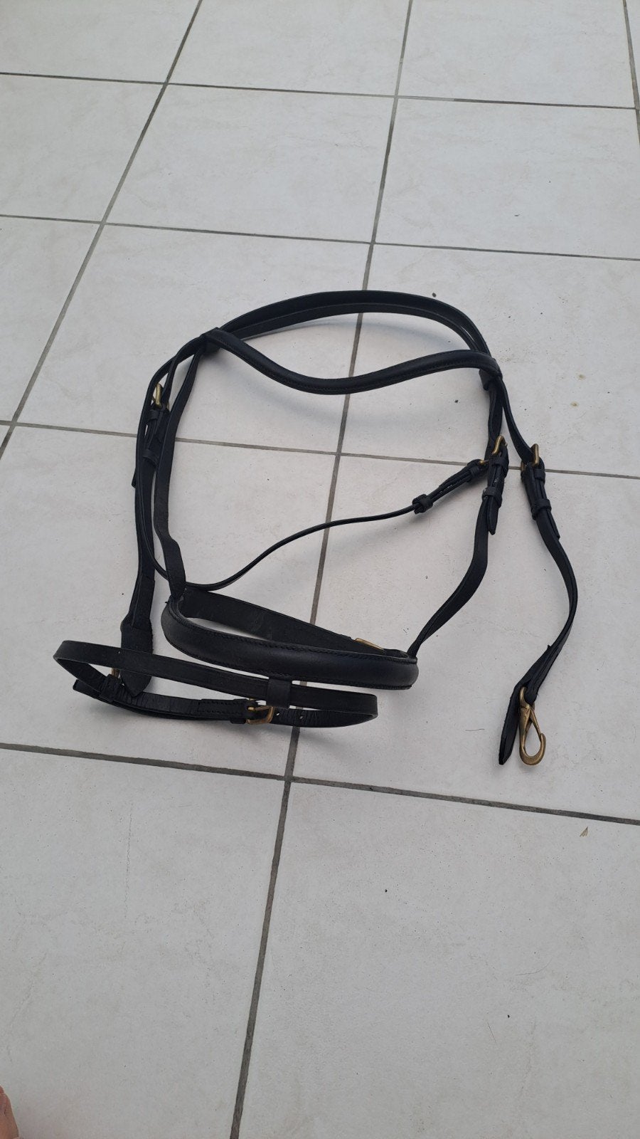 Hoofdstel, Dieren en Toebehoren, Ophalen of Verzenden, Zwart, Hoofdstel, Full