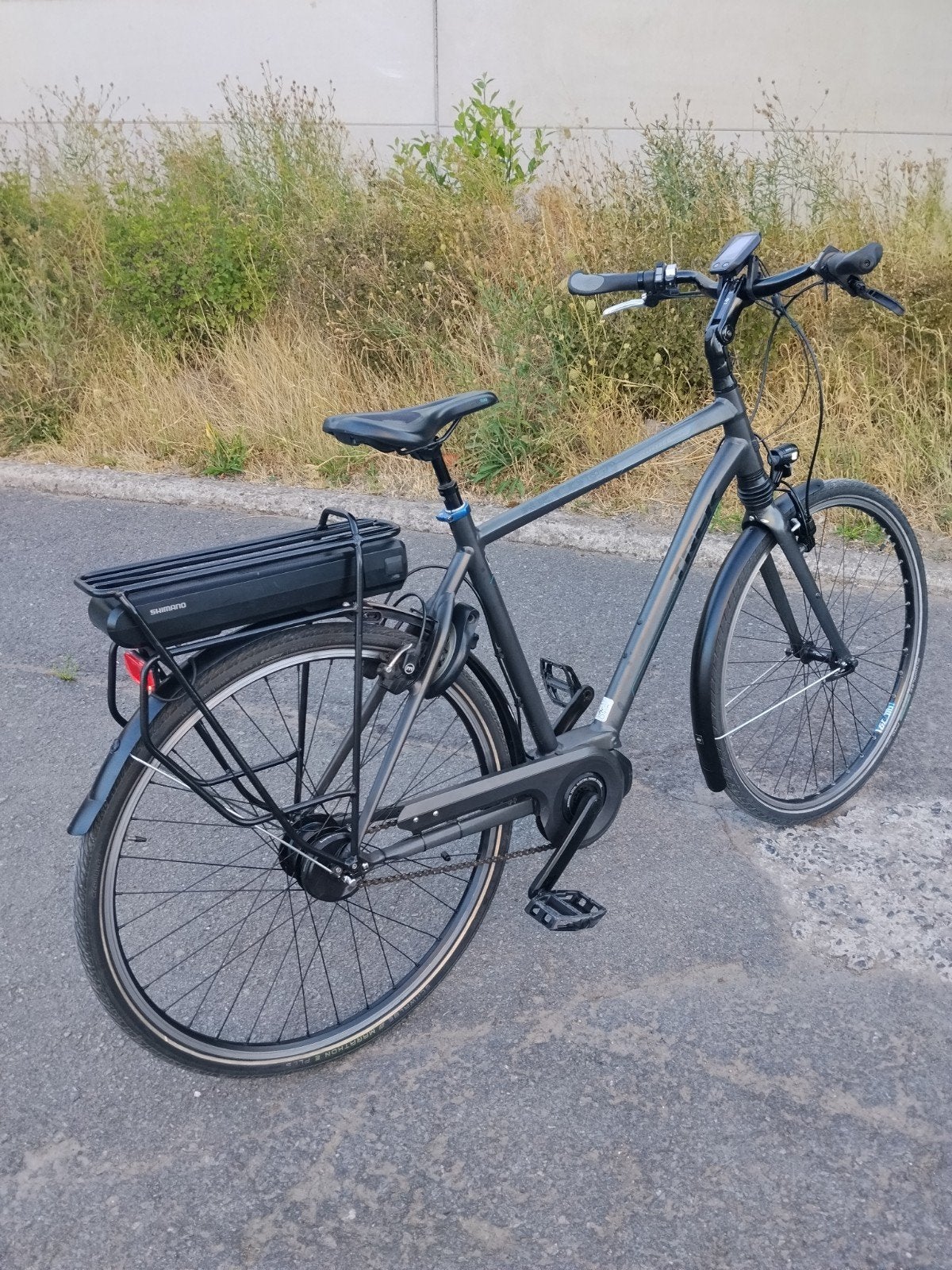 E-BIKE TREK /changement de vitesse automatique/, 51 à 55 cm, Enlèvement, 50 km par batterie ou plus, Gazelle