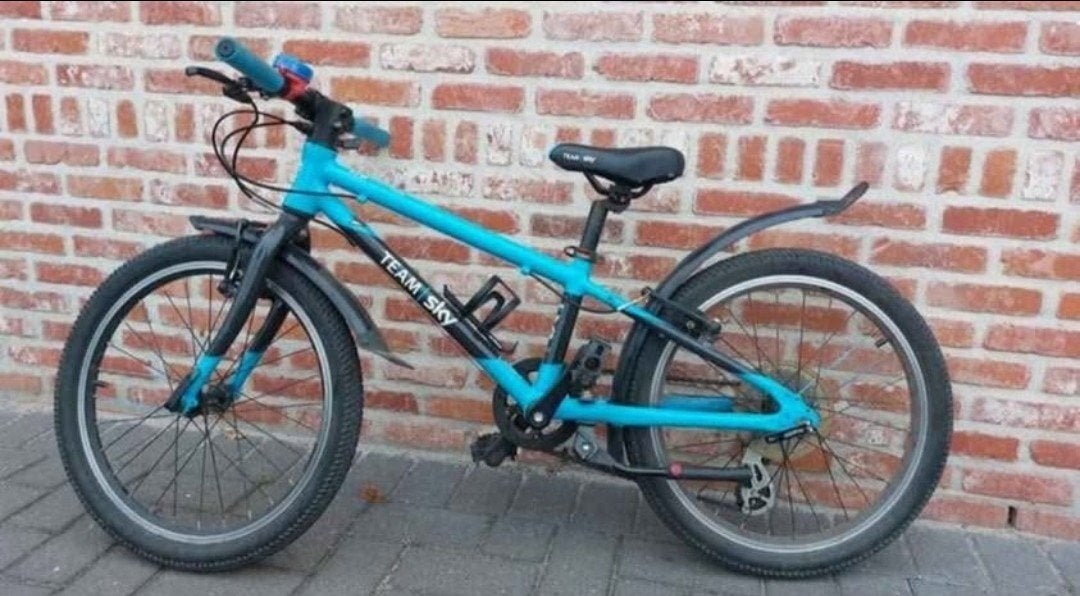 Frog fiets, 20 inch, Enlèvement ou Envoi