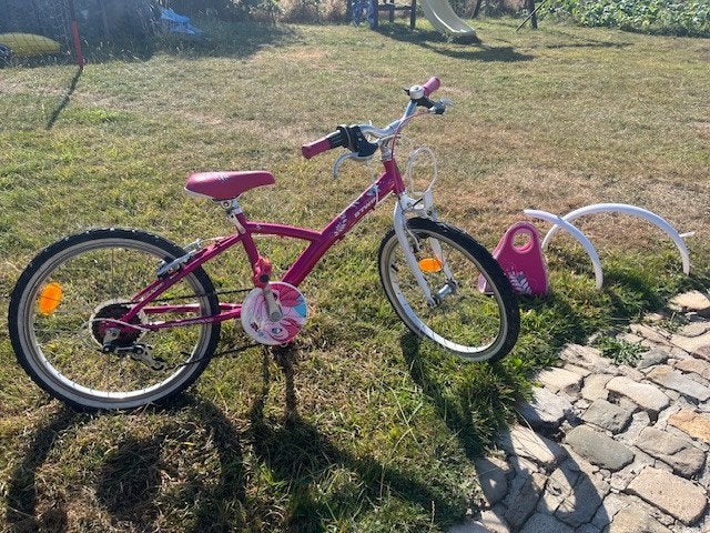 Vélo fille 20 pouces, Ophalen, 20 inch of meer, Gebruikt, Velgrem