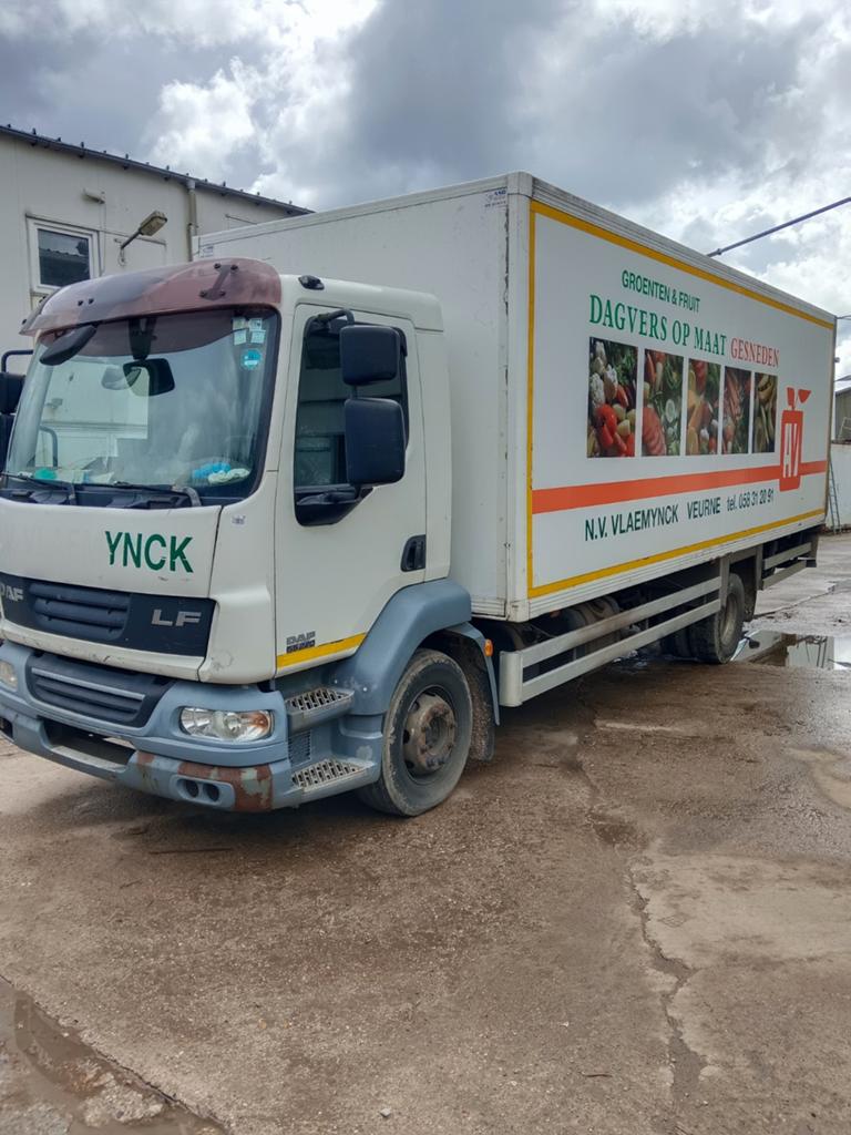 DAF koelwagen, Autos, Camions, Achat, Boîte manuelle, Diesel, Particulier
