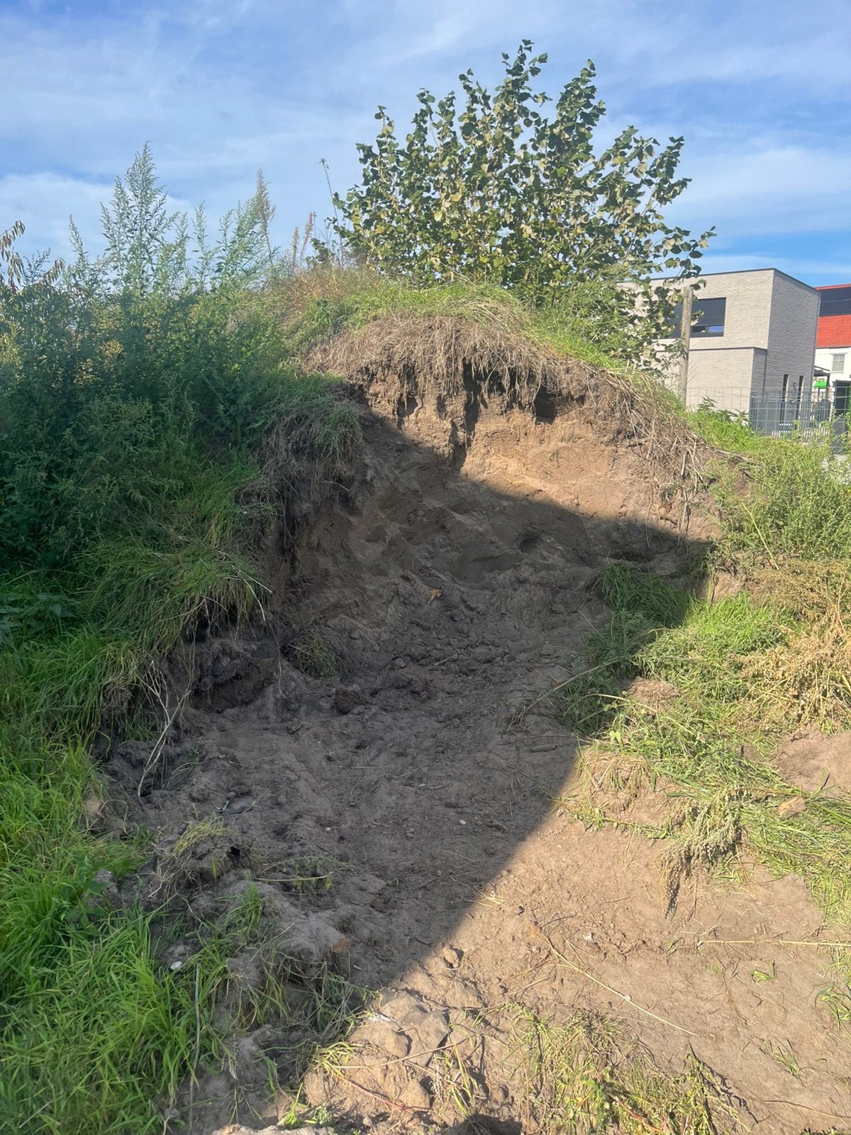 Zwarte grond GRATIS, Enlèvement