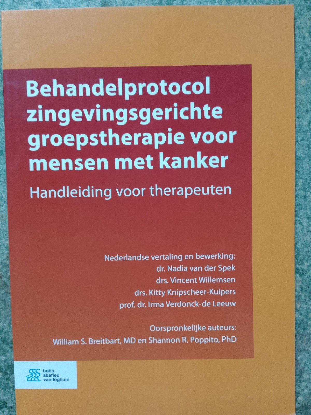 Protocole de traitement : thérapie de groupe significative p, William S. Breitbart; Shannon R. Poppito; Kitty Knipscheer-Ku...