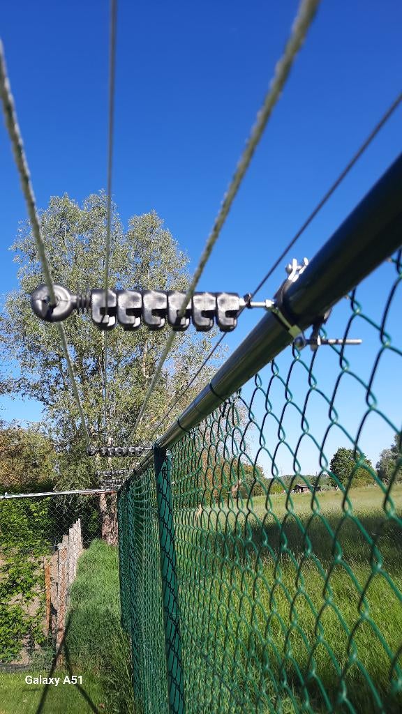 Garder un chat dans le jardin, Enlèvement, Neuf, Chats