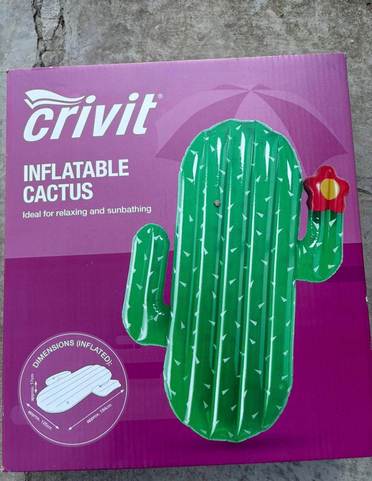 Opblaasbare cactus zwembad, Tuin en Terras, Ophalen, Nieuw