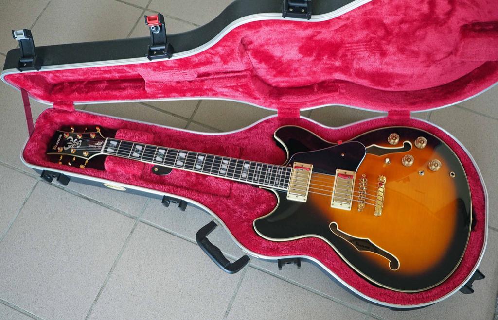 Ibanez JSM10 contre John Scofield, Enlèvement, Comme neuf, Semi-solid body, Ibanez