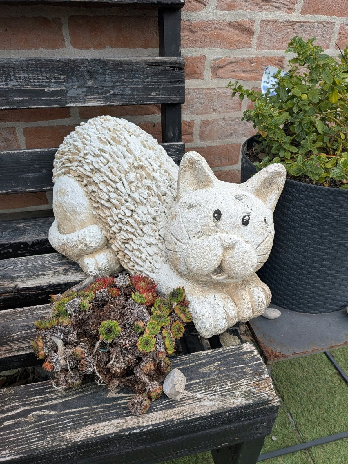 kat beeld, Ophalen, Kunststof, Dierenbeeld