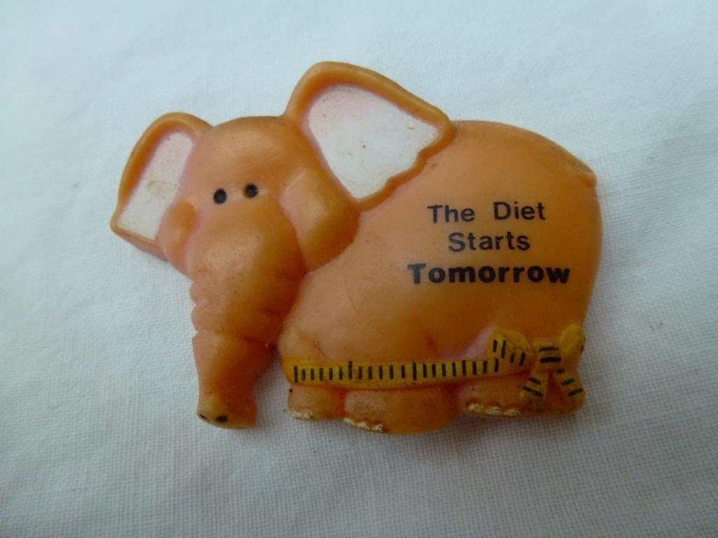 magneet The diet starts tomorrow, Ophalen of Verzenden, Gebruikt