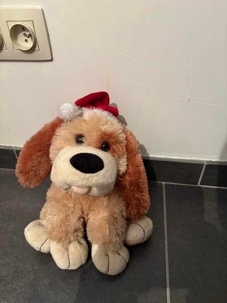 Knuffelbeer bewegend, Ophalen, Zo goed als nieuw