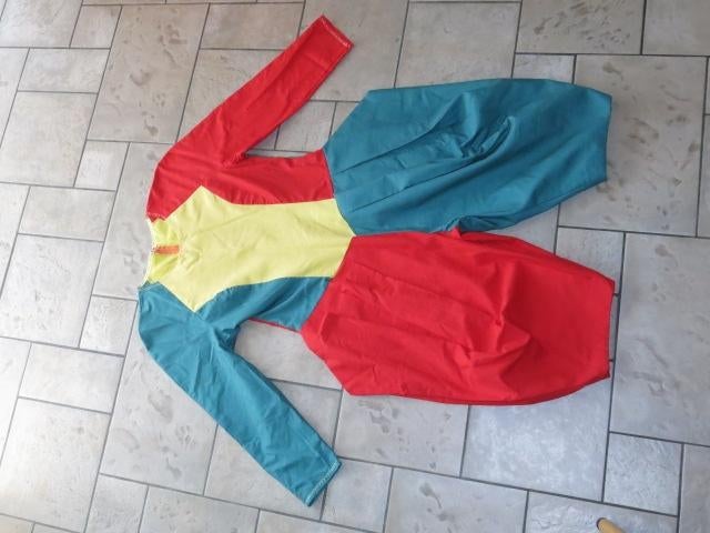 Een degelijk clownspak voor tiener/volwassene, Kinderen en Baby's, Carnavalskleding en Verkleedspullen, Ophalen of Verzenden, Zo goed als nieuw