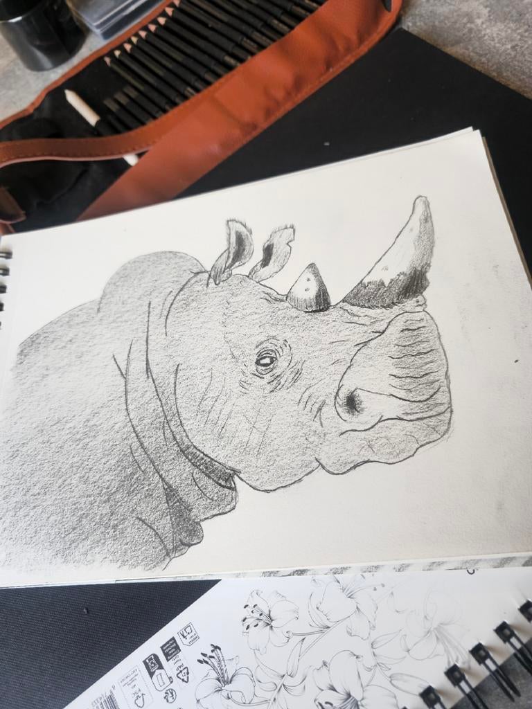 Unieke grafiet potlood tekening neushoorn A4 formaat, Ophalen