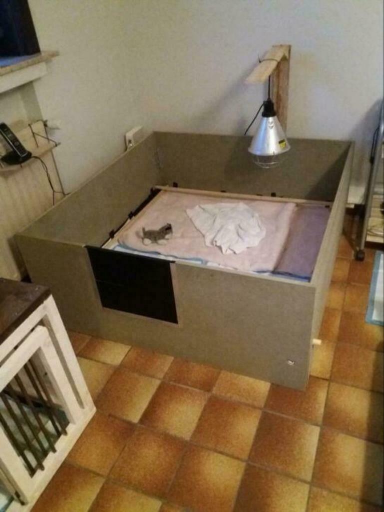 Te huur: Werpkisten honden 1,20*1,20*0,6.10 weken aan 90€!, Ophalen of Verzenden, Zo goed als nieuw