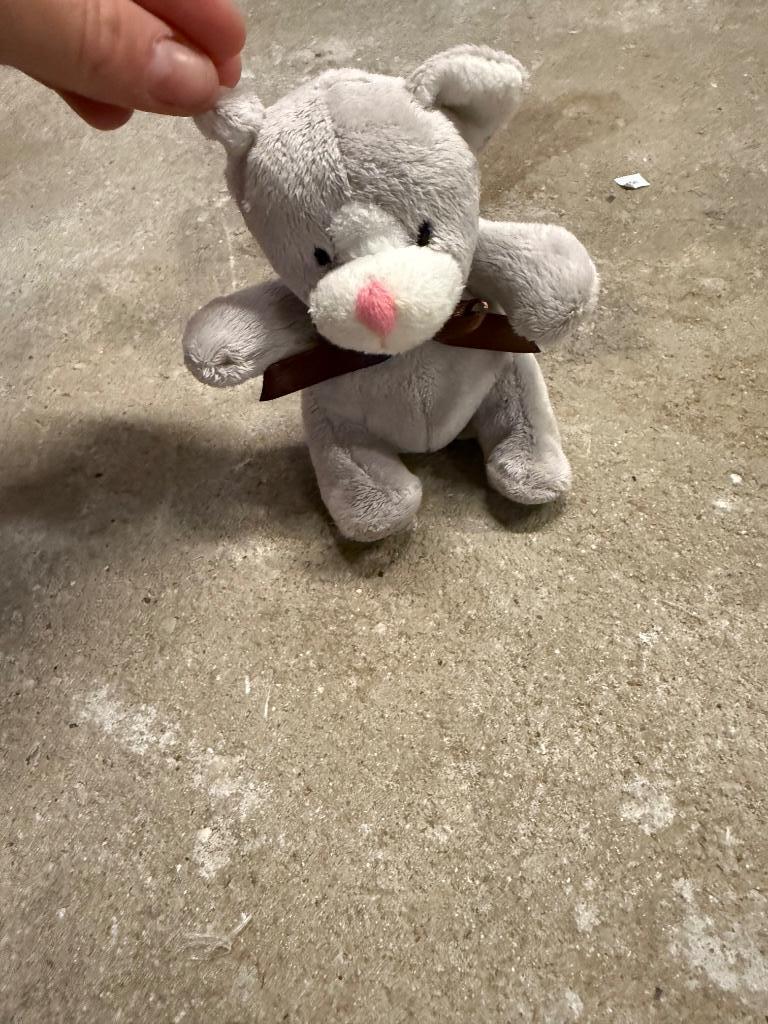 Petite peluche Zeeman, Kinderen en Baby's, Speelgoed | Knuffels en Pluche, Ophalen of Verzenden, Nieuw, Overige typen