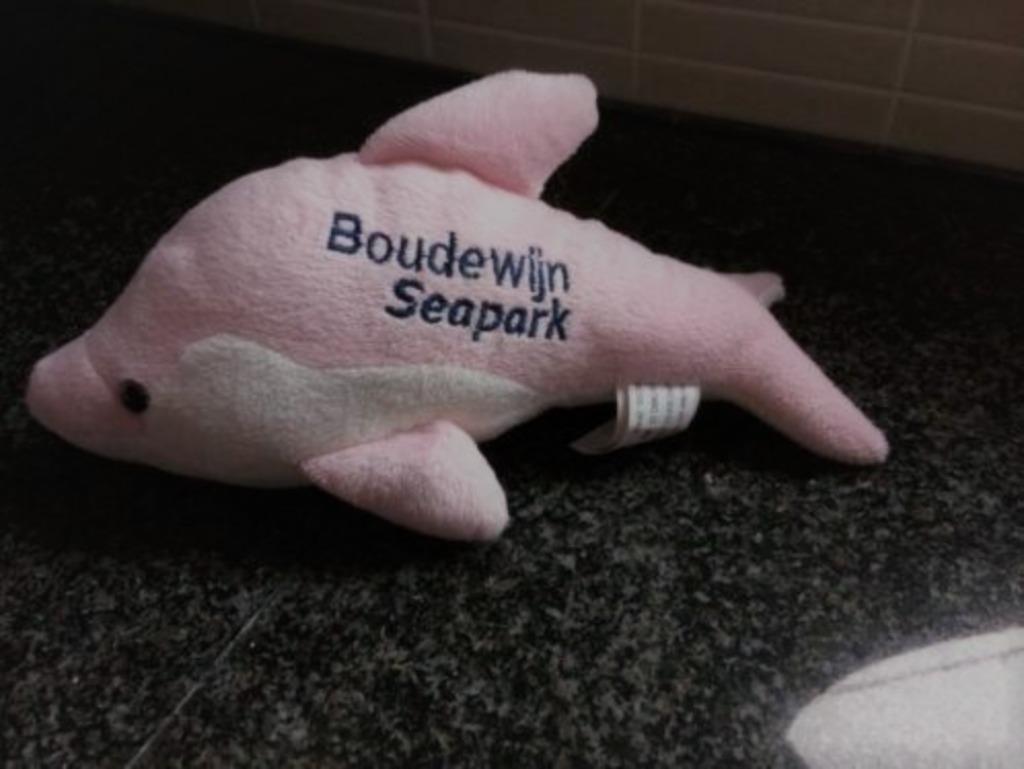 Dolfijn Boudewijn Seapark, Ophalen, Zo goed als nieuw