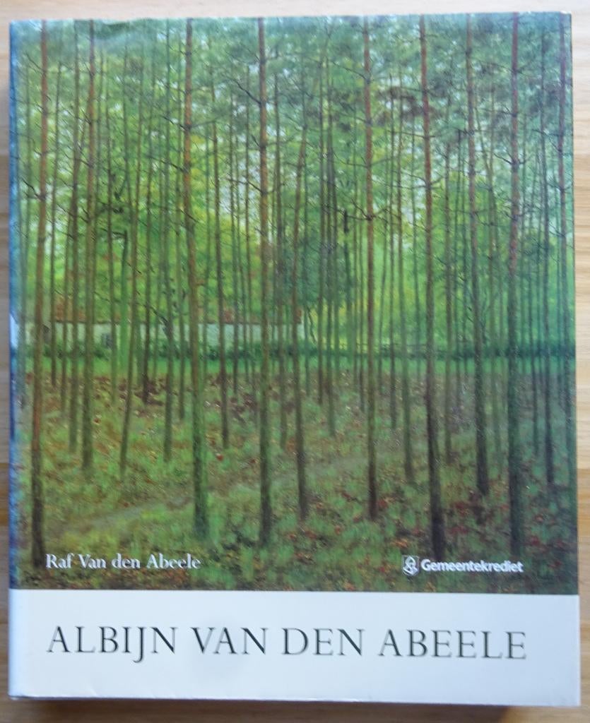 Albijn Van den Abeele - 1993 - monografie, oeuvrecatalogus, Ophalen of Verzenden, Zo goed als nieuw, Raf Van den Abeele, Schilder- en Tekenkunst