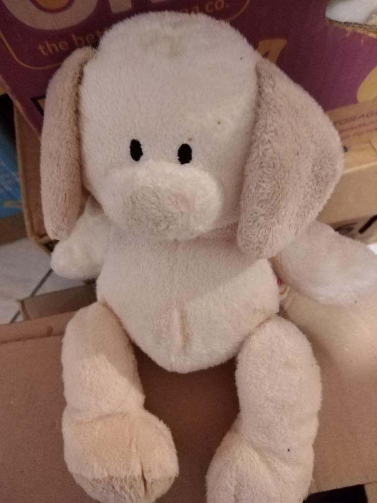 knuffel nicotoy hond(doos nicotoy 2024), Ophalen, Nieuw, Hond