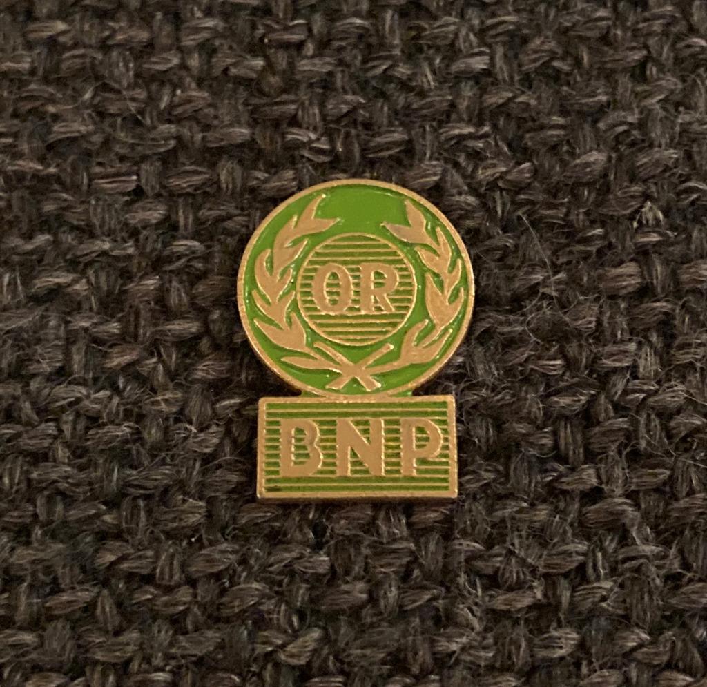 PIN - BNP PARIBAS FORTIS - BANK - BANQUE, Envoi, Utilisé, Autres sujets/thèmes, Insigne ou Pin's